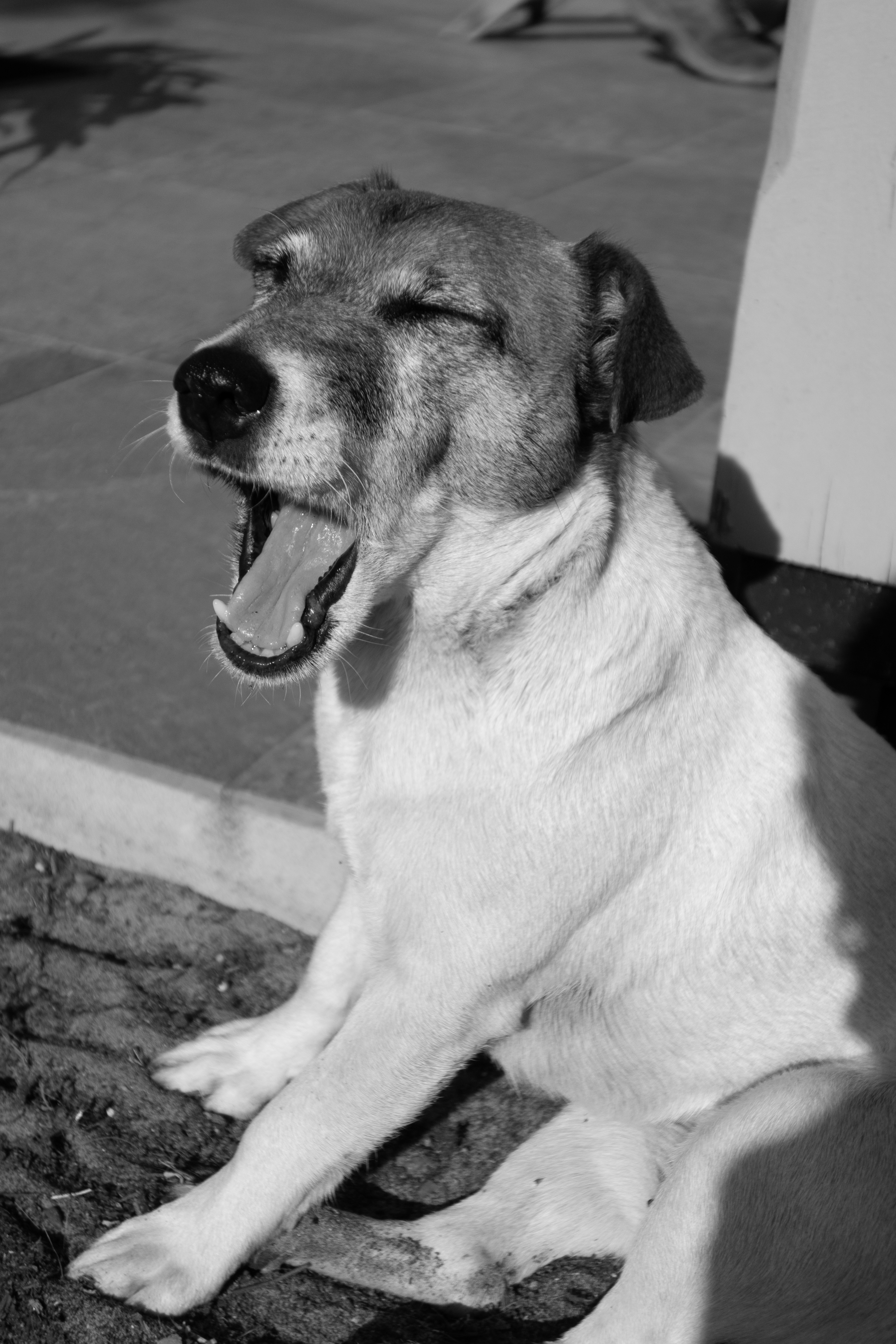 Portrait ou visuel d’accueil-2