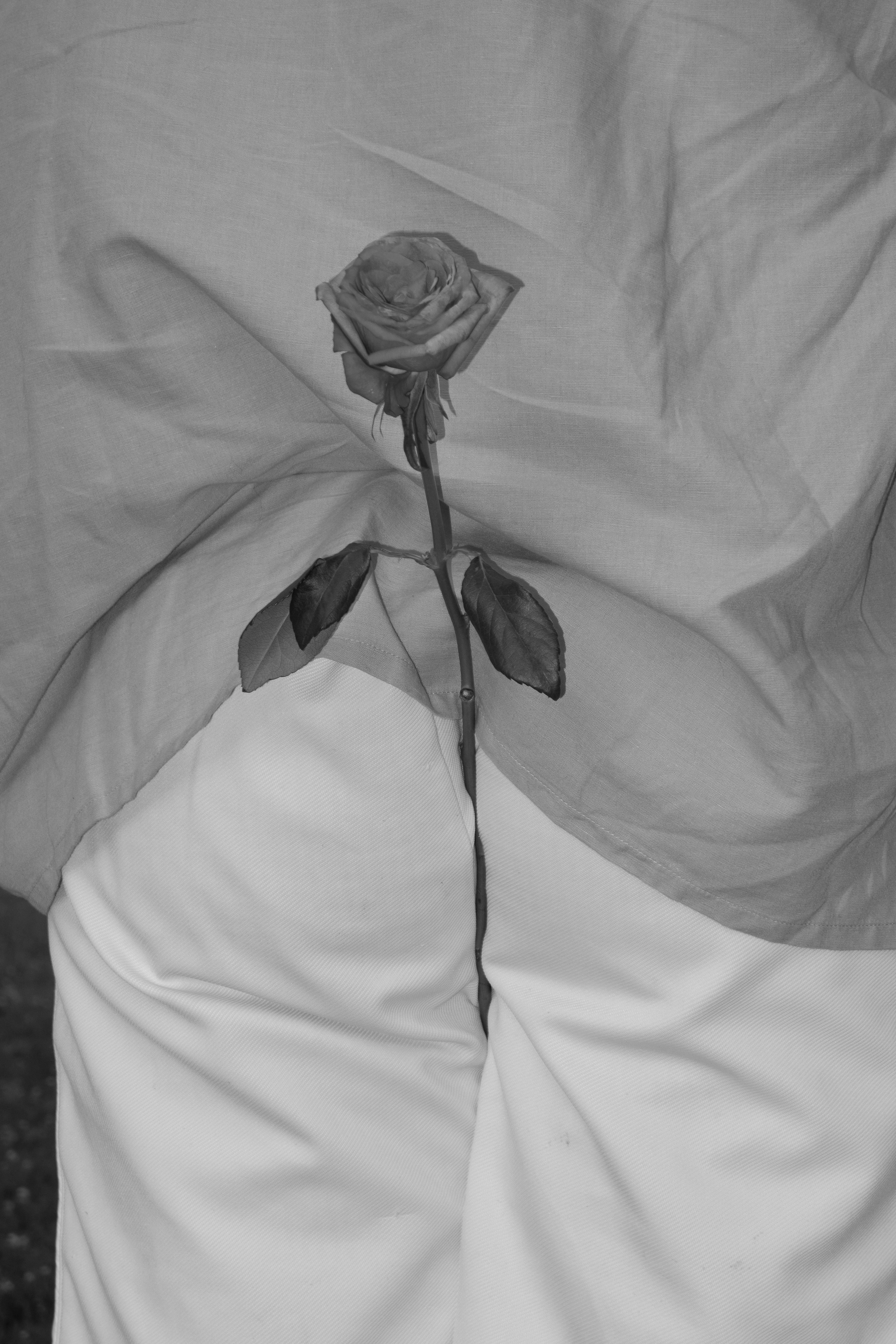 Portrait ou visuel d’accueil-3