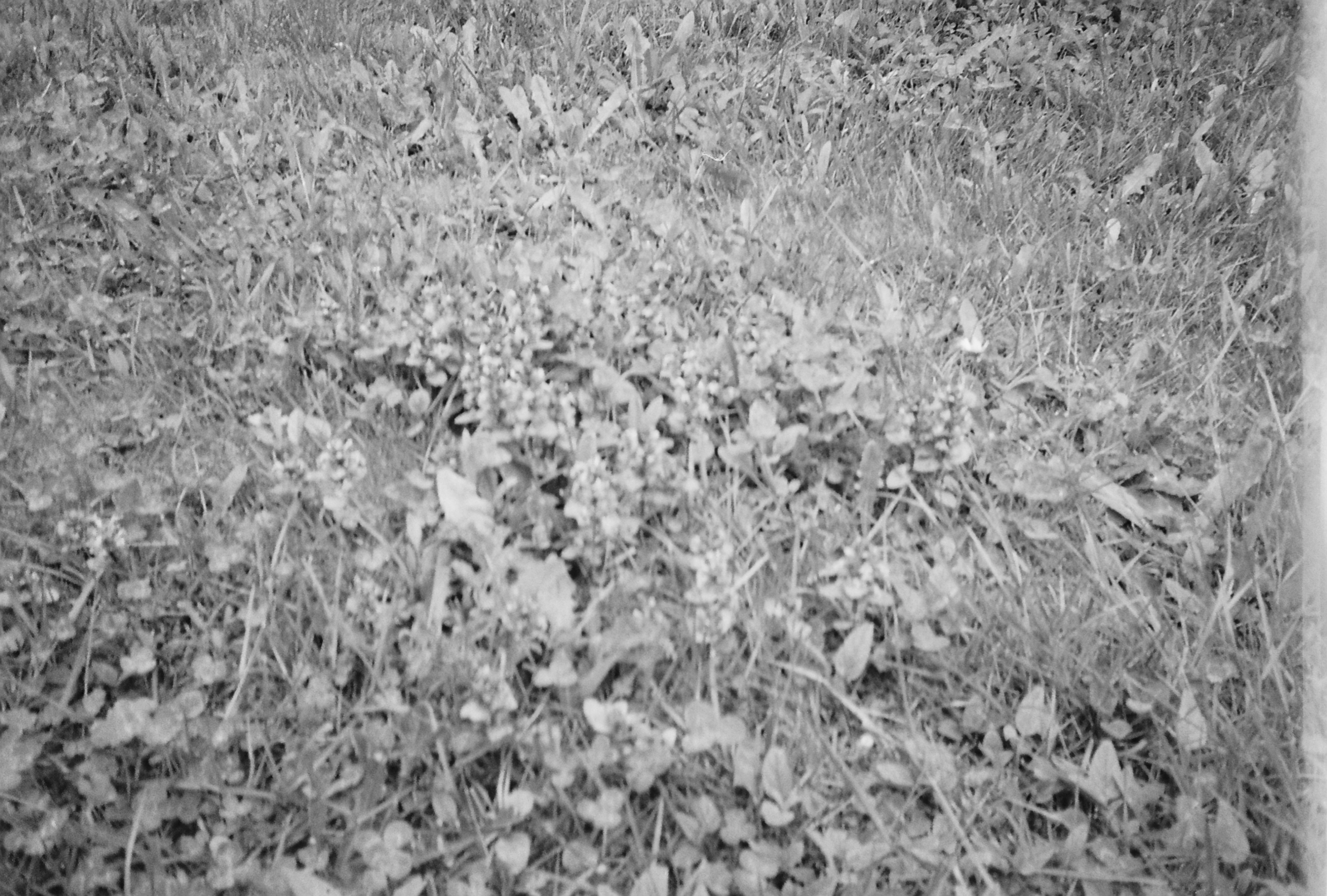 Portrait ou visuel d’accueil-5